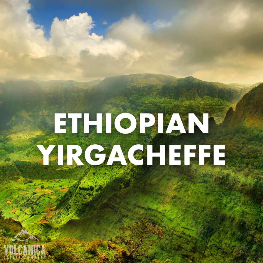 1 Best Seller Ethiopian Yirgacheffe Coffee, Organic from Volcanica